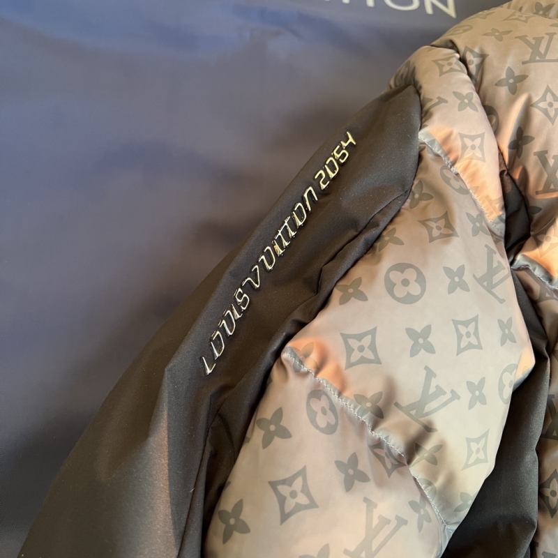 Louis Vuitton Down Jackets